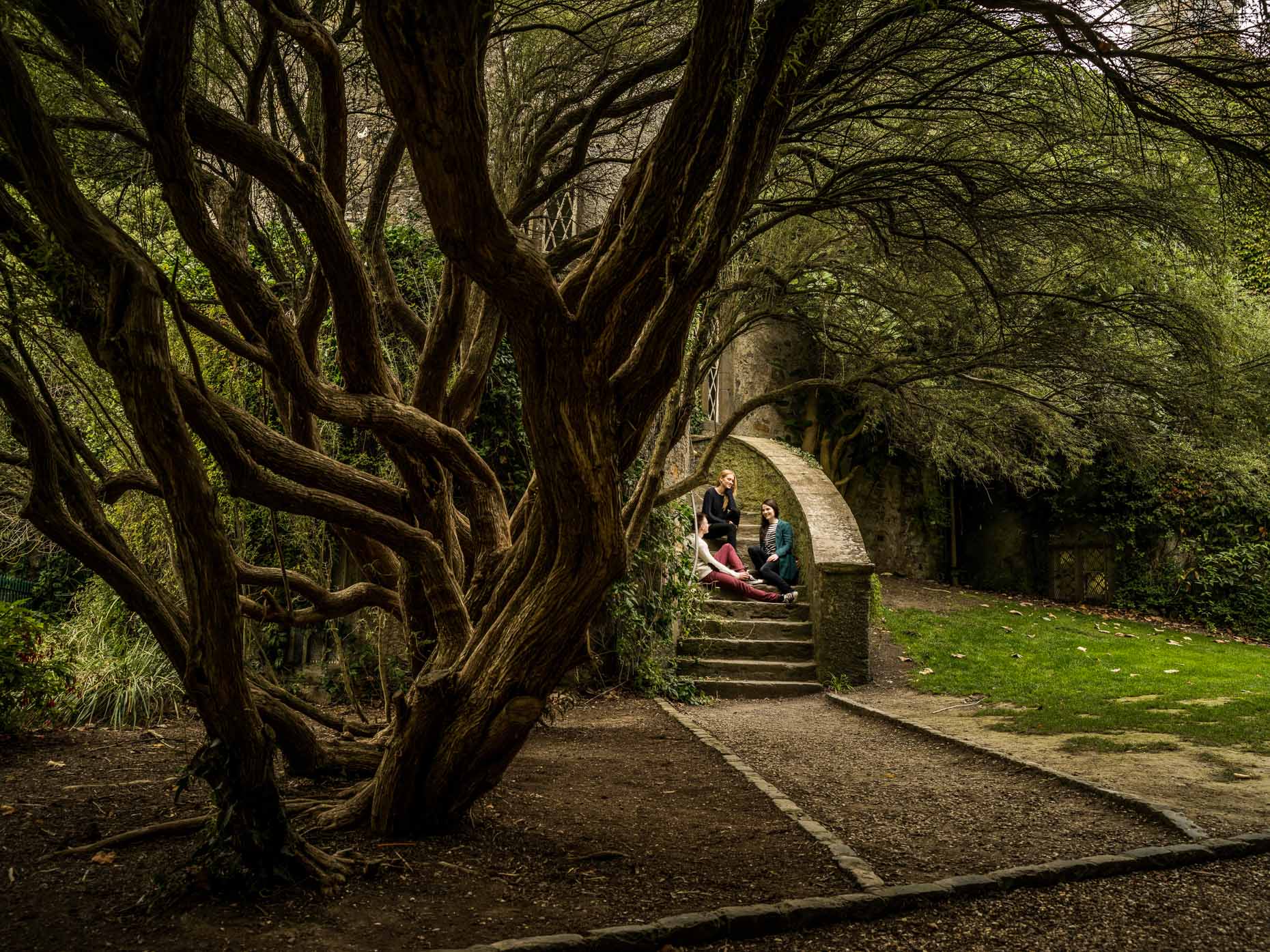 Grounds_at_Malahide_Castle
