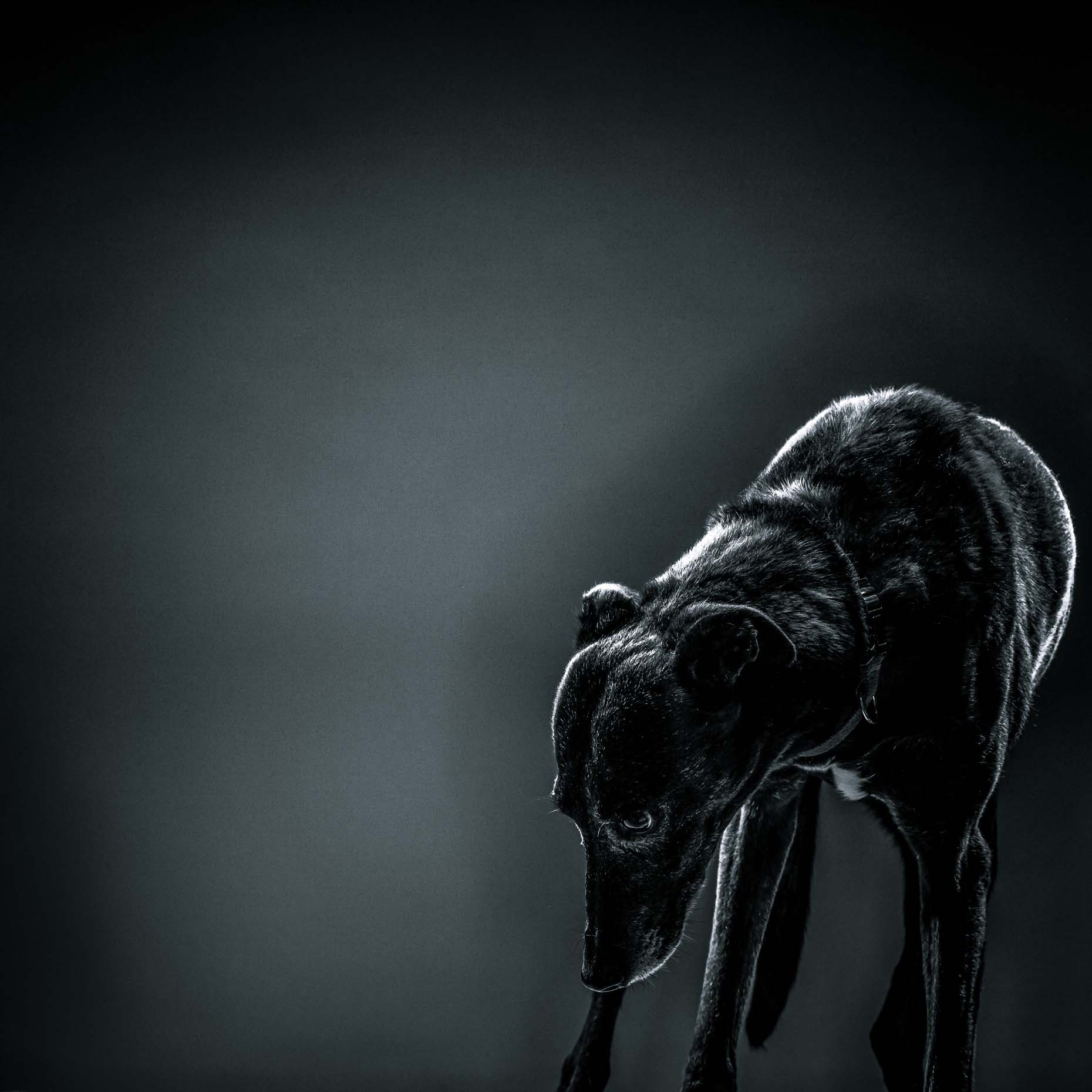 RDP_20121003_9354-Edit